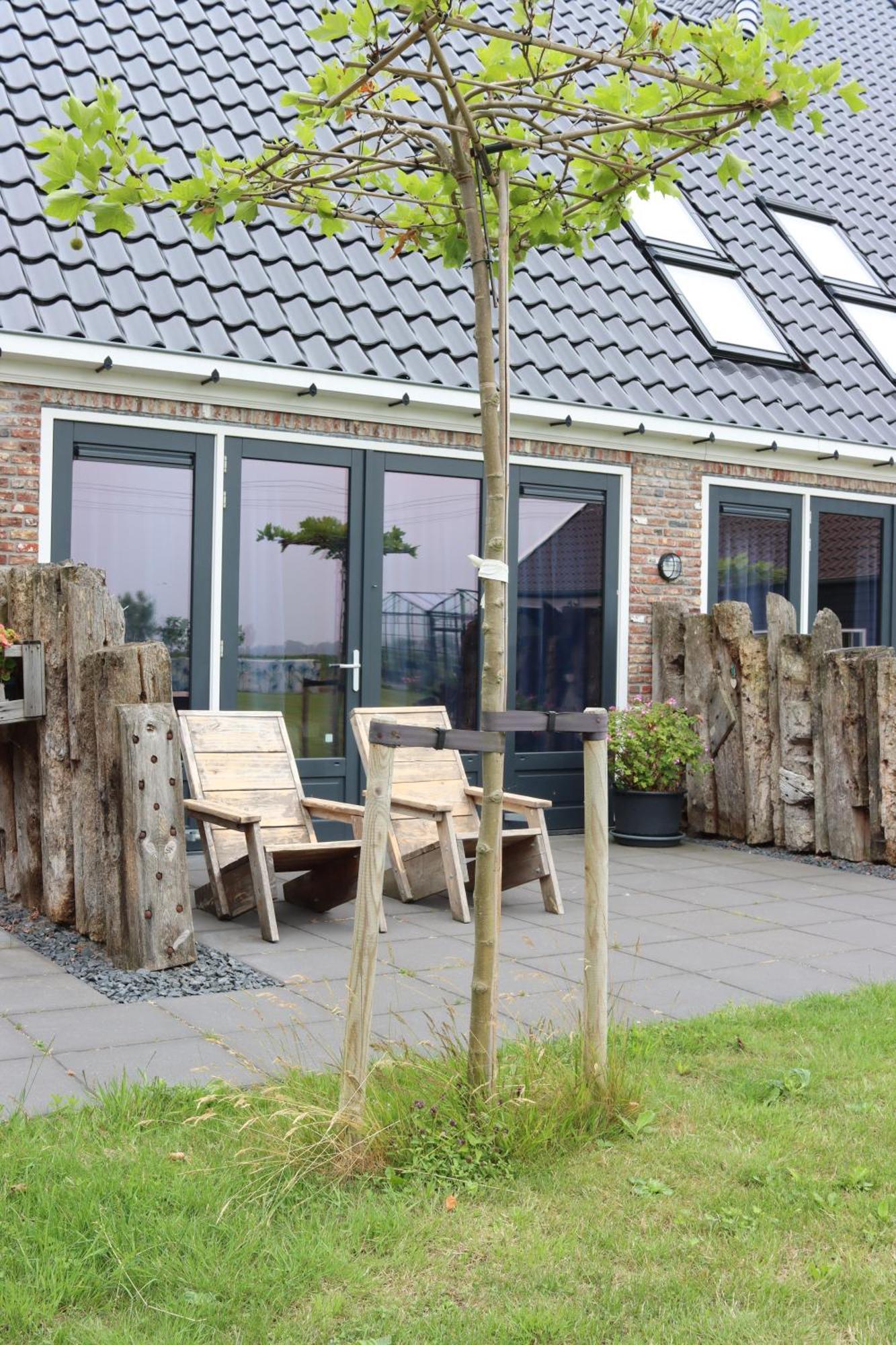 B&B Heeringhuusen Haringhuizen Eksteriør billede